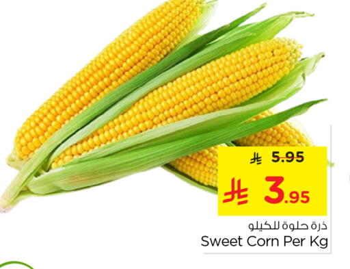 available at Nesto in KSA, Saudi Arabia, Saudi - Riyadh