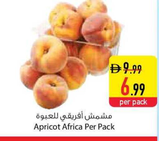 Apricot available at السفير ماركت in الإمارات العربية المتحدة , الامارات - أم القيوين‎