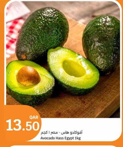 Avocado from Egypt available at سيتي هايبرماركت in قطر - الشمال