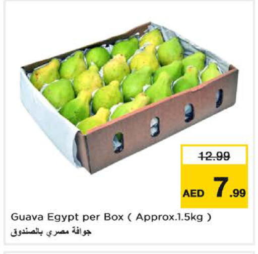 Guava from Egypt available at نستو هايبرماركت in الإمارات العربية المتحدة , الامارات - دبي