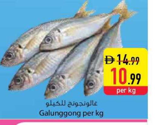 available at السفير ماركت in الإمارات العربية المتحدة , الامارات - أم القيوين‎