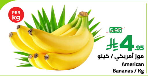 from United States available at وهج مارت in مملكة العربية السعودية, السعودية, سعودية - جدة