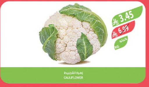 Cauliflower available at Farm  in KSA, Saudi Arabia, Saudi - Sakaka