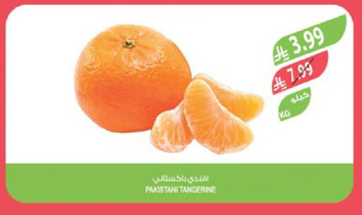 from Pakistan available at المزرعة in مملكة العربية السعودية, السعودية, سعودية - أبها
