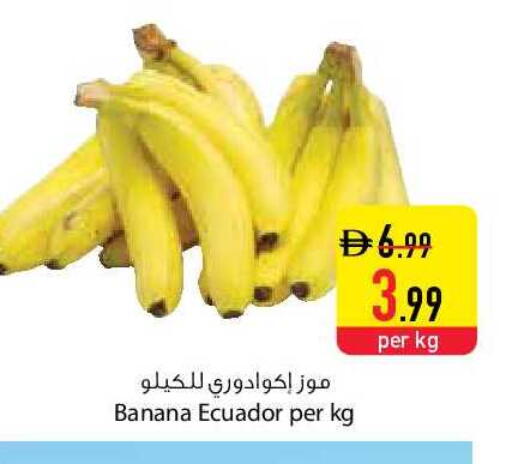 Banana from Ecuador available at السفير ماركت in الإمارات العربية المتحدة , الامارات - الشارقة / عجمان