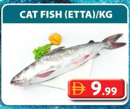 available at جراند هايبر ماركت in الإمارات العربية المتحدة , الامارات - الشارقة / عجمان