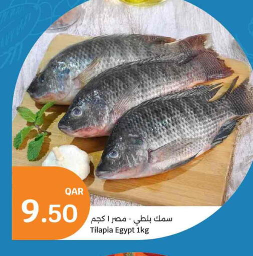 available at سيتي هايبرماركت in قطر - الخور