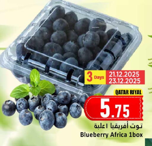 Blueberry BlueBerry from Qatar available at دانة هايبرماركت in قطر - الشمال