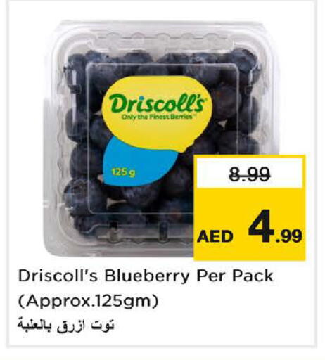 Blueberry BlueBerry available at نستو هايبرماركت in الإمارات العربية المتحدة , الامارات - دبي