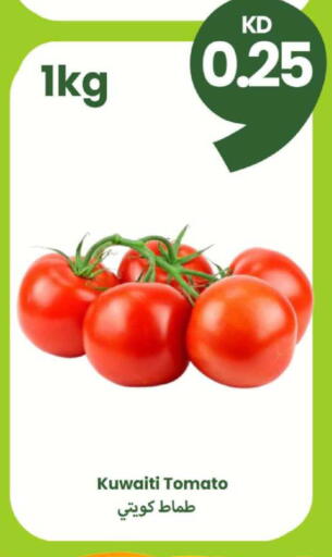 Tomato from Kuwait available at Taw9eel.com in Kuwait - Kuwait City