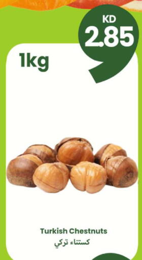 available at Taw9eel.com in Kuwait - Ahmadi Governorate