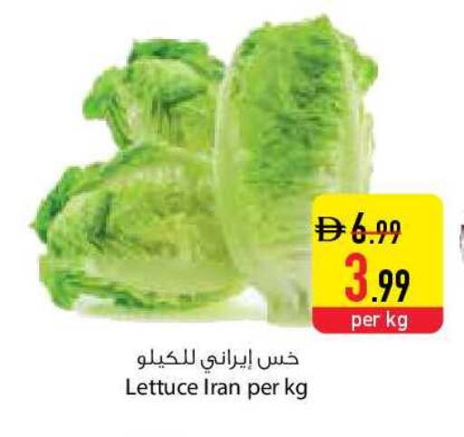 Lettuce from Iran available at Safeer Market in UAE - Sharjah / Ajman