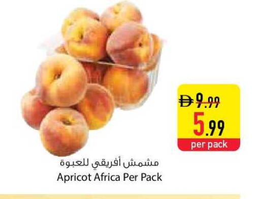 Apricot available at السفير ماركت in الإمارات العربية المتحدة , الامارات - دبي