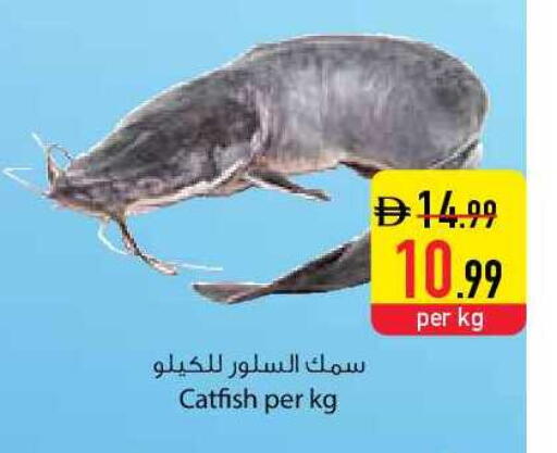 available at السفير ماركت in الإمارات العربية المتحدة , الامارات - ٱلْعَيْن‎