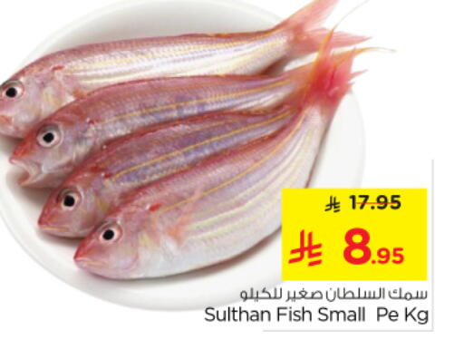 available at نستو in مملكة العربية السعودية, السعودية, سعودية - الخرج