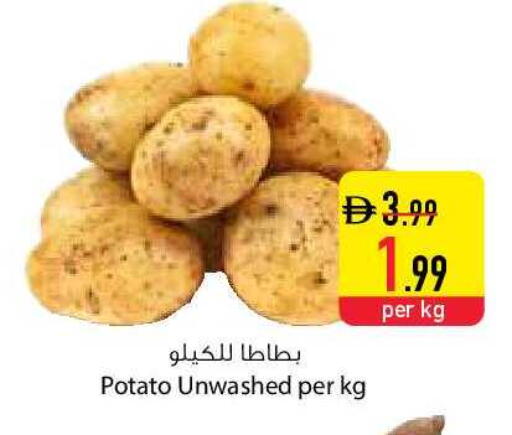 Potato available at السفير ماركت in الإمارات العربية المتحدة , الامارات - أبو ظبي