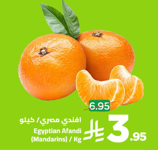 from Egypt available at وهج مارت in مملكة العربية السعودية, السعودية, سعودية - جدة