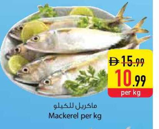 available at السفير ماركت in الإمارات العربية المتحدة , الامارات - أم القيوين‎