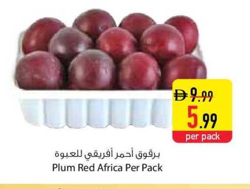 Plum available at السفير ماركت in الإمارات العربية المتحدة , الامارات - دبي