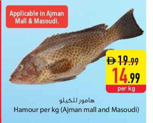 available at السفير ماركت in الإمارات العربية المتحدة , الامارات - أم القيوين‎