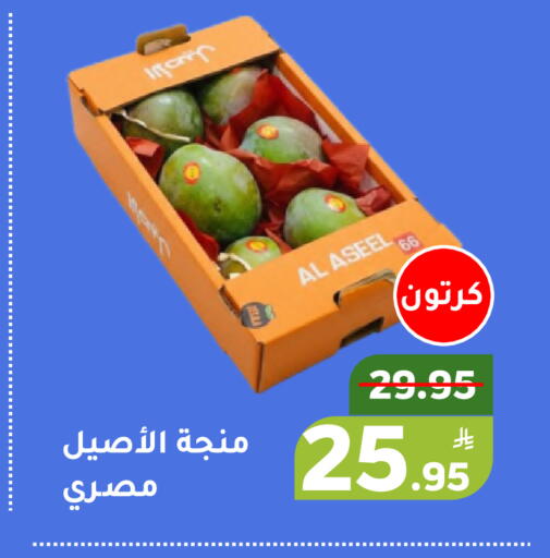 Apple available at أسواق جرين أبل in مملكة العربية السعودية, السعودية, سعودية - الأحساء‎