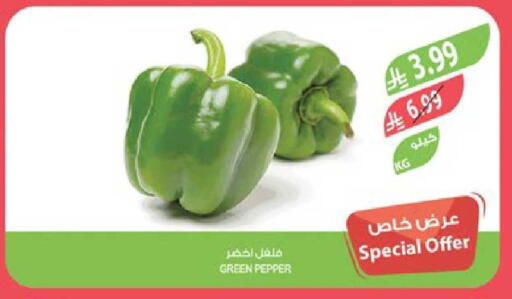Pepper available at Farm  in KSA, Saudi Arabia, Saudi - Sakaka
