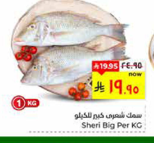 available at هايبر الوفاء in مملكة العربية السعودية, السعودية, سعودية - الأحساء‎