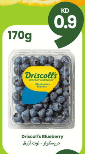 Blueberry BlueBerry available at توصيل  in الكويت - مدينة الكويت