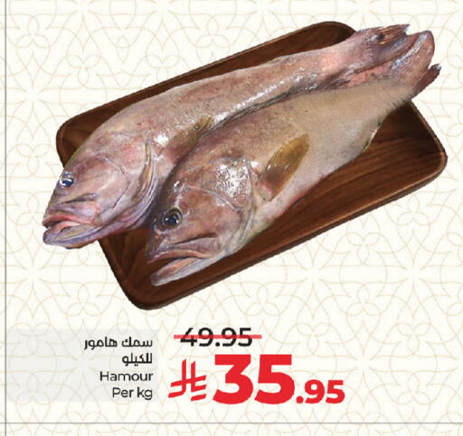 available at لولو هايبرماركت in مملكة العربية السعودية, السعودية, سعودية - جدة