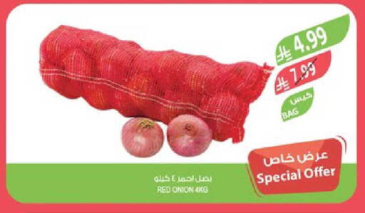 Onion available at المزرعة in مملكة العربية السعودية, السعودية, سعودية - حفر الباطن