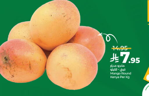 Mango from Kenya available at لولو هايبرماركت in مملكة العربية السعودية, السعودية, سعودية - المنطقة الشرقية