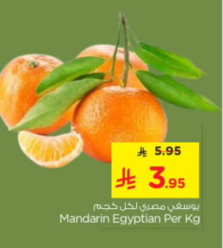 Mandarin from Egypt available at نستو in مملكة العربية السعودية, السعودية, سعودية - الخرج