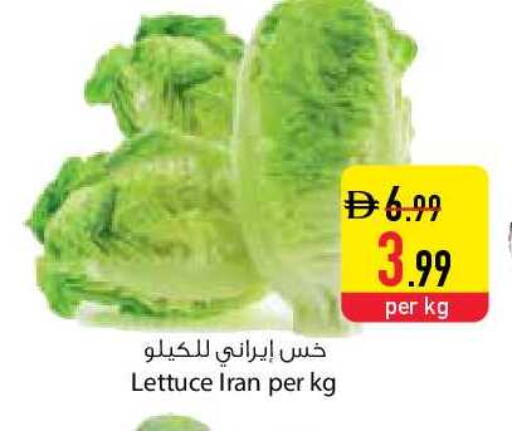 Lettuce from Iran available at Safeer Market in UAE - Fujairah