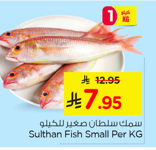 available at نستو in مملكة العربية السعودية, السعودية, سعودية - الخبر‎