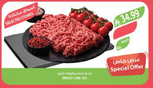 available at Farm  in KSA, Saudi Arabia, Saudi - Al Bahah
