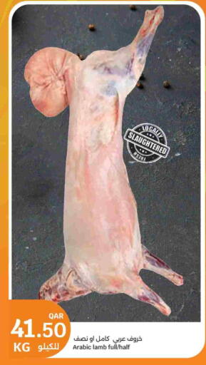 available at City Hypermarket in Qatar - Al Daayen