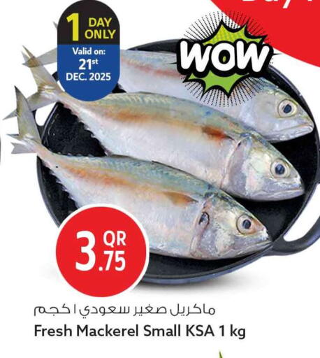 available at سفاري هايبر ماركت in قطر - الدوحة