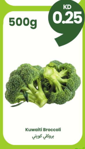 Broccoli from Kuwait available at توصيل  in الكويت - محافظة الجهراء