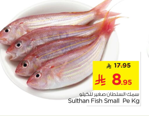 available at نستو in مملكة العربية السعودية, السعودية, سعودية - الرياض