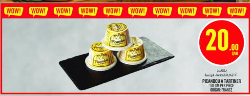 available at مونوبريكس in قطر - الضعاين