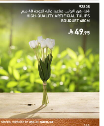 available at SACO in KSA, Saudi Arabia, Saudi - Unayzah