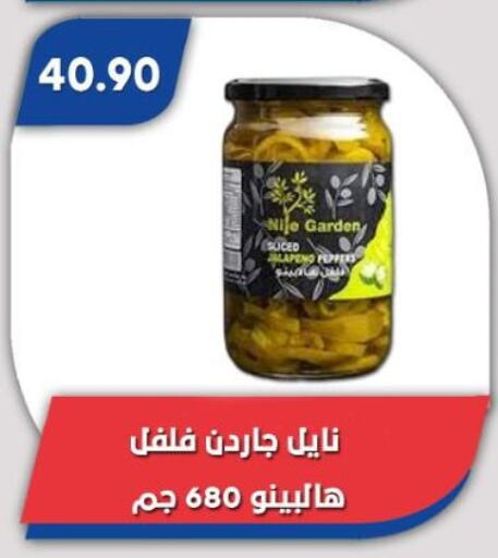 available at باسم ماركت in Egypt - القاهرة