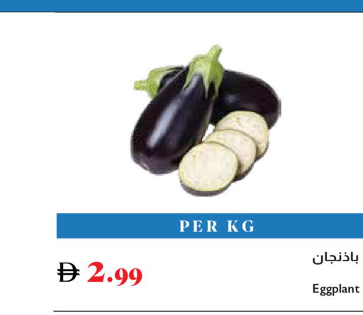 Eggplant available at تروليز سوبرماركت in الإمارات العربية المتحدة , الامارات - دبي