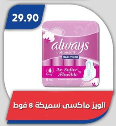 available at باسم ماركت in Egypt - القاهرة