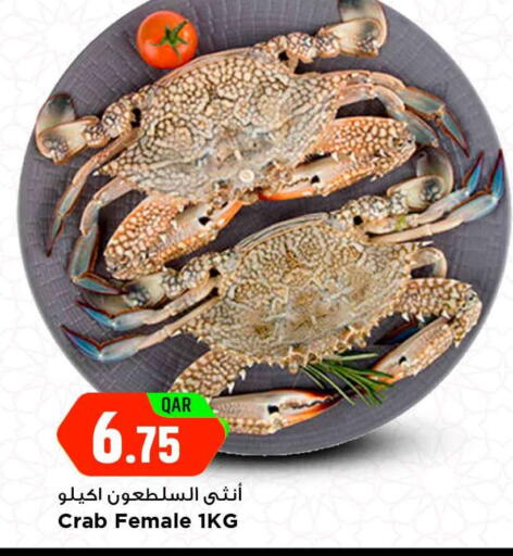 available at مرزا هايبرماركت in قطر - الشحانية