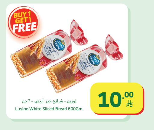 available at الراية in مملكة العربية السعودية, السعودية, سعودية - تبوك