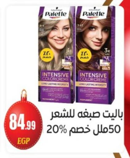 available at أولاد المحاوى in Egypt - القاهرة