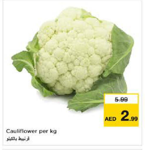 Cauliflower available at Last Chance  in UAE - Fujairah