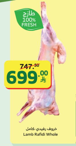 available at Al Raya in KSA, Saudi Arabia, Saudi - Yanbu