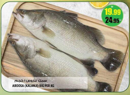 available at هاشم هايبرماركت in الإمارات العربية المتحدة , الامارات - الشارقة / عجمان